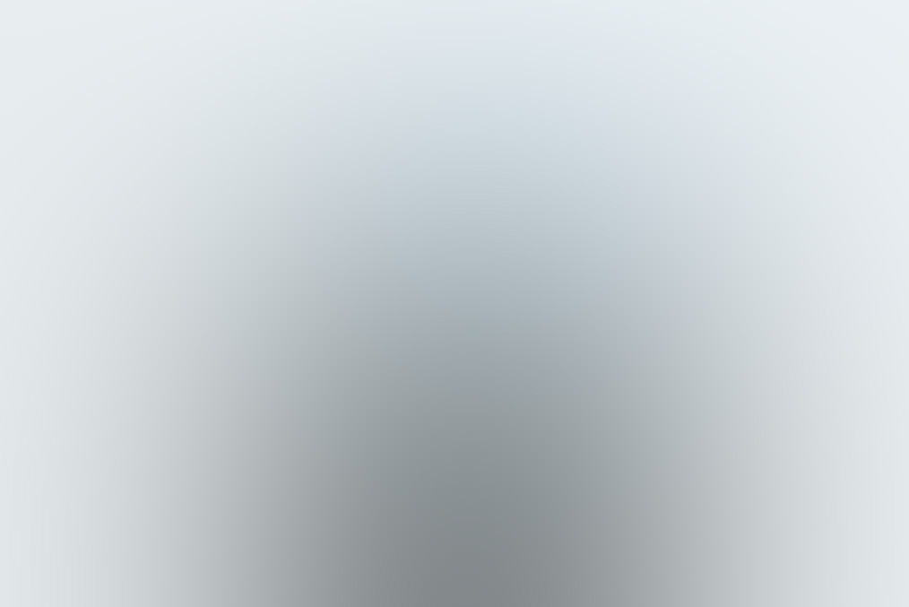 Steelz in Meridian, ID - photo 2