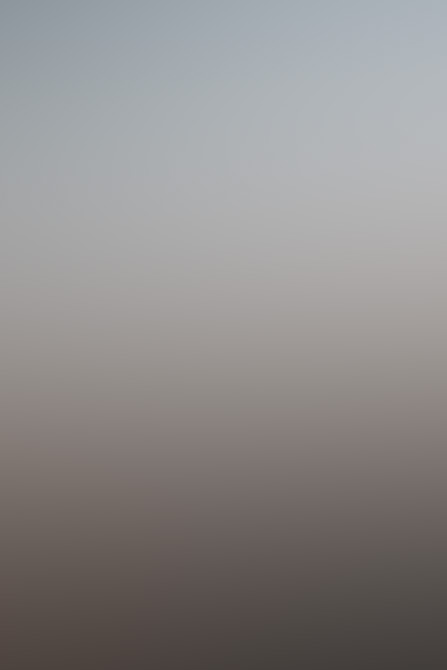 Steelz in Meridian, ID - photo 3