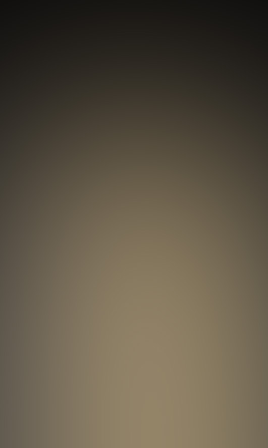 Steelz in Meridian, ID - photo 4